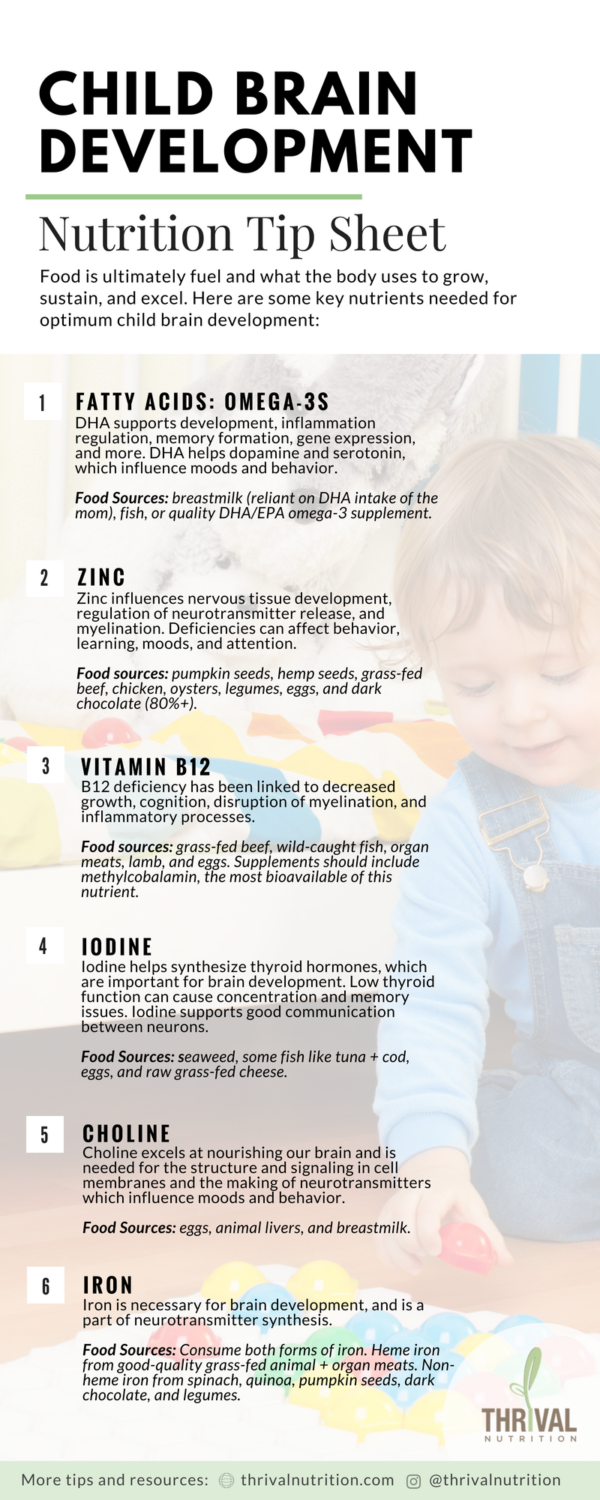 Nutrition & Child Brain Development • Tandem Speech Therapy, Austin, TX