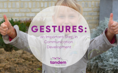 Gestures: an Important Step in Communication Development