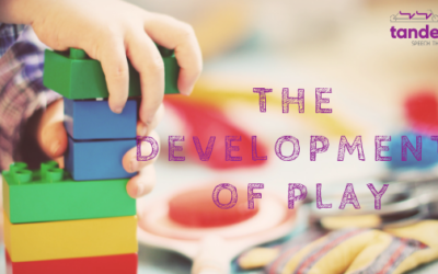 The Development of Play