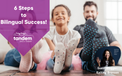 Six Steps to Bilingual Success!
