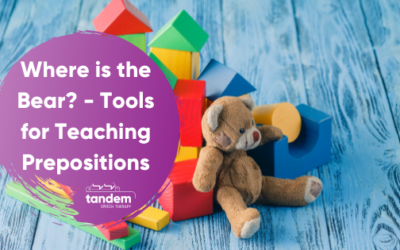 Where is the Bear? Tools for Teaching Prepositions