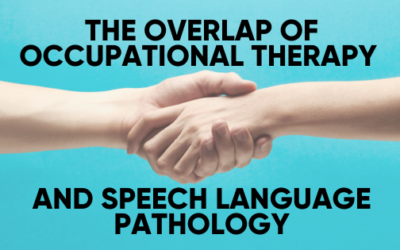 The Overlap of Occupational Therapy and Speech-Language Pathology