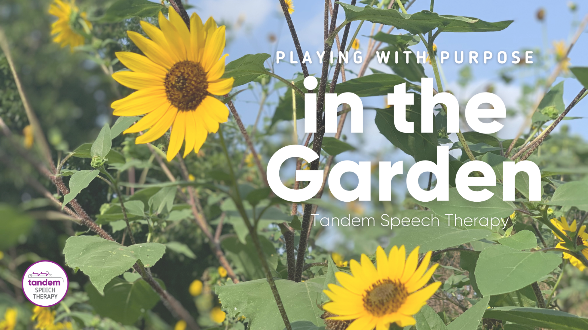 PWP in the Garden playing with purpose in the garden